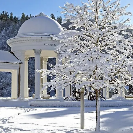 Ensana Butterfly Отель Марианске-Лазне