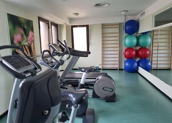 호텔 Ensana Butterfly