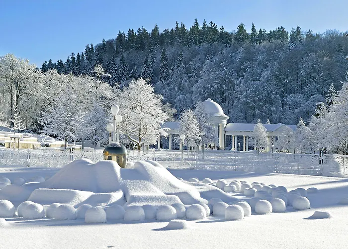 호텔 Ensana Butterfly 마리안스케 라즈네