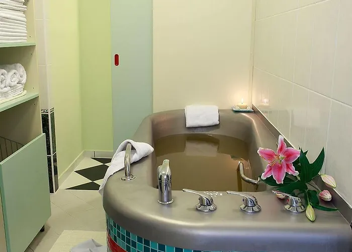 호텔 Ensana Butterfly